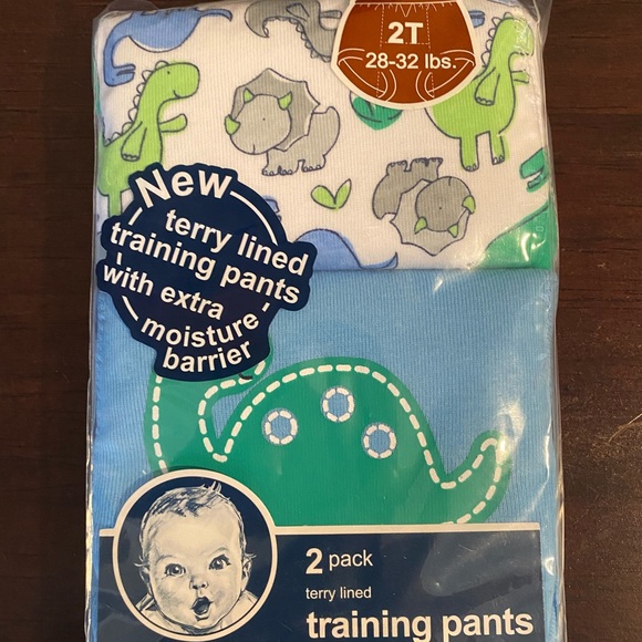 New Gerber Dinosaur Training Toddler Underwear 2T - Picture 1 of 7